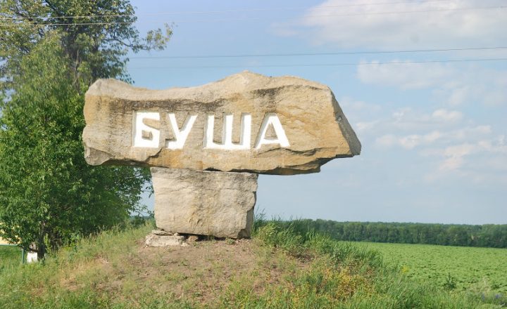 Буша